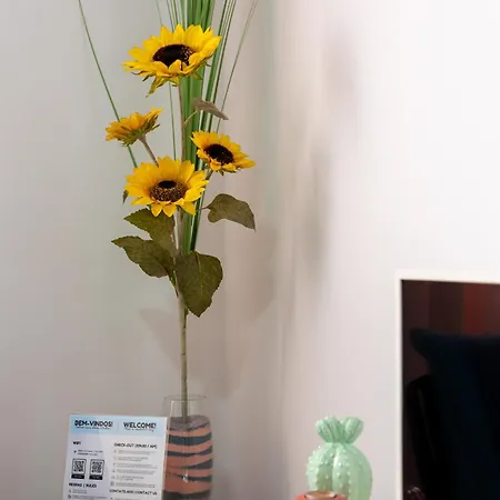 Habitación en casa particular Casa Dos Guerra - *